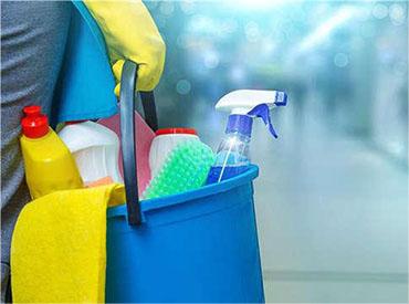 國務院辦公廳關于促進家政服務業提質擴容的意見